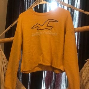 Hollister cropped sweater
